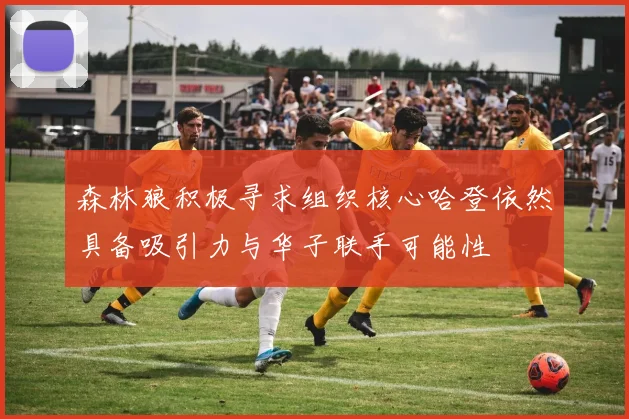 森林狼积极寻求组织核心哈登依然具备吸引力与华子联手可能性
